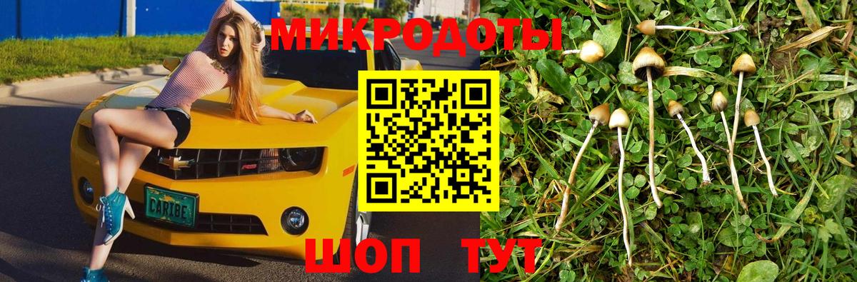 Галлюциногенные грибы мухоморы Артёмовский